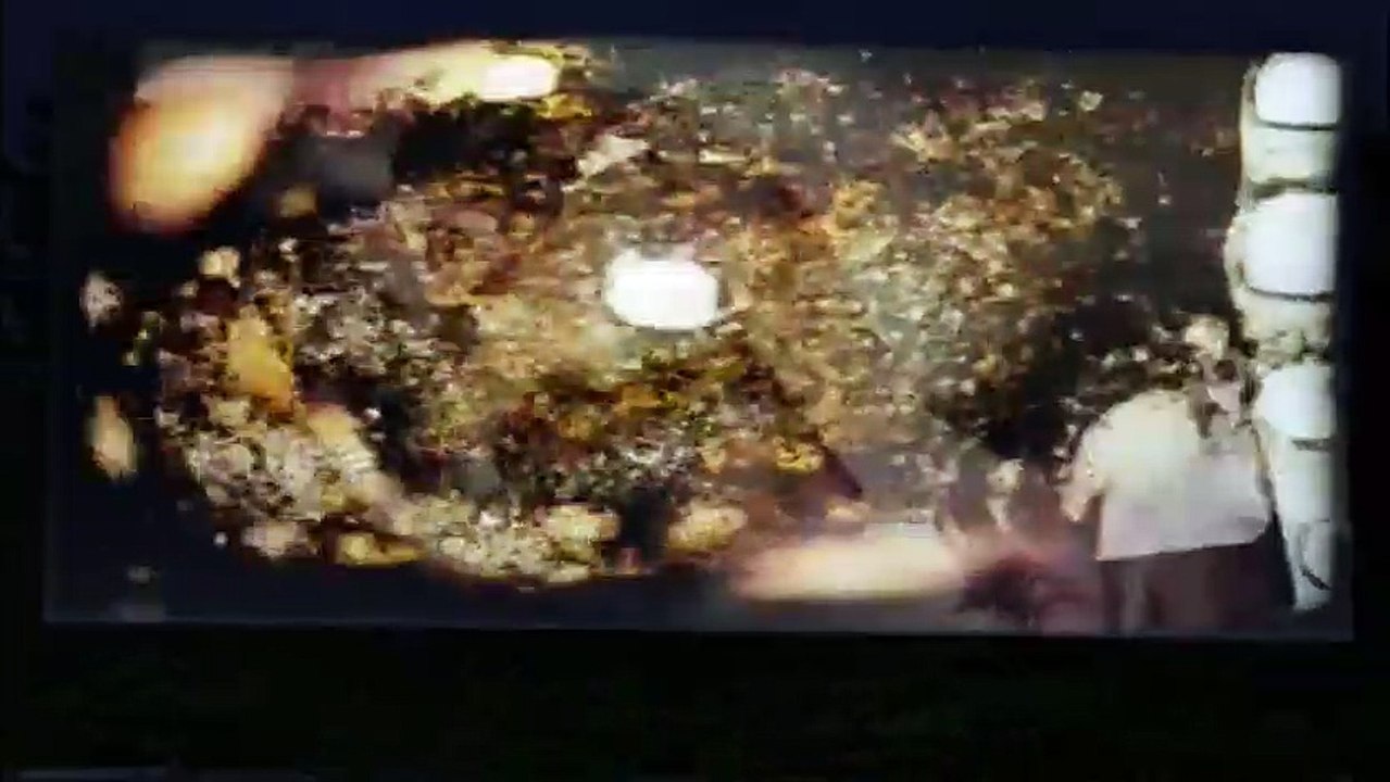 Camel Spiders - Angriff der Monsterspinnen Trailer DF