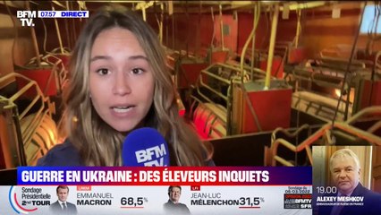 Flambée des prix des céréales: "On est autour de 12.000 euros de plus par mois", s'inquiète cet éleveur