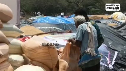 தேங்கிய நெல் முட்டைகள்; விவசாயிகளின் வாழ்வாதாரம் பாதிப்பு!