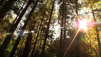 Willow Creek Trailer (2) OV