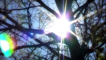 Other Madnesses Trailer OV