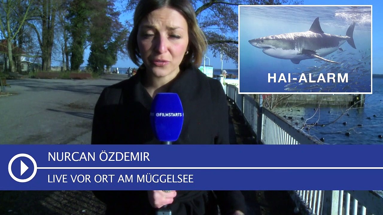 Jack and the Giants / Hai-Alarm am Müggelsee / Hitchcock