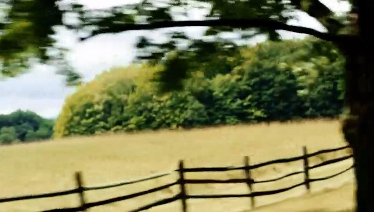 Model Hunger Trailer OV