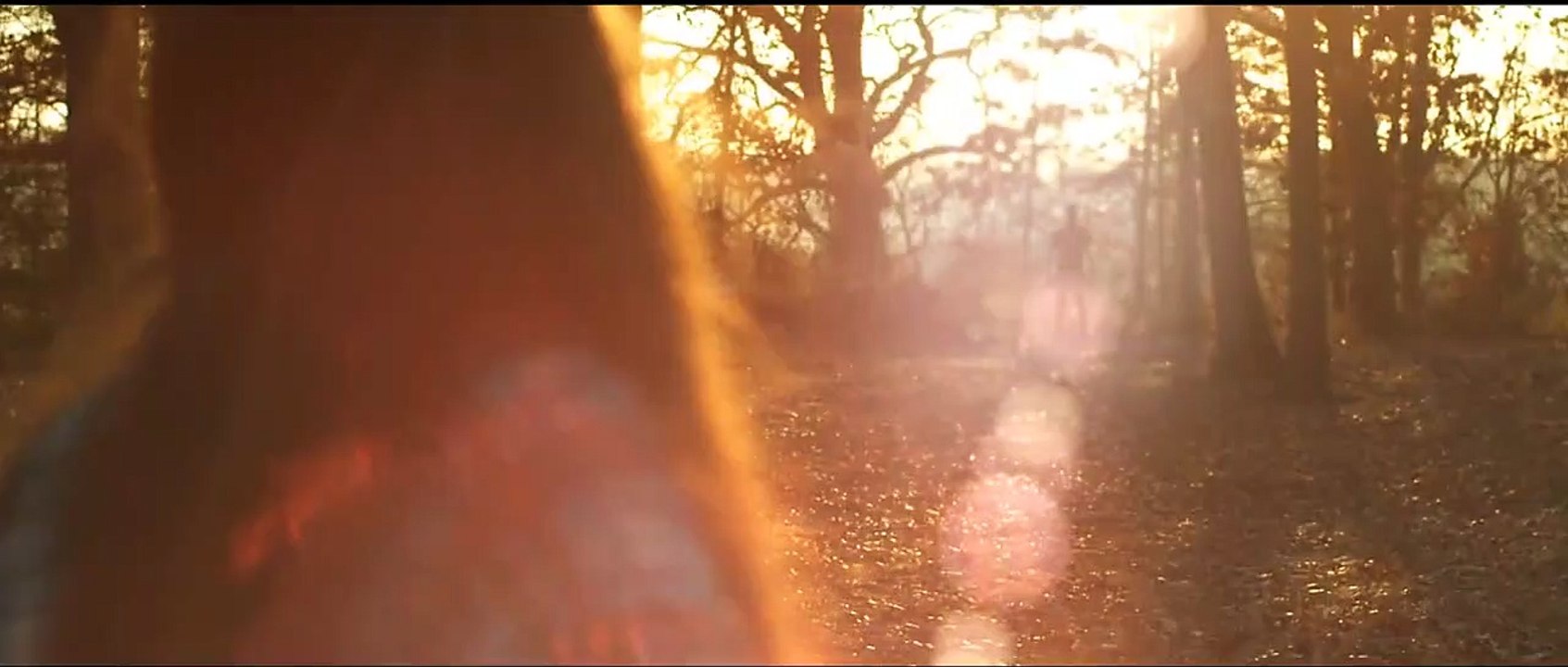 Das Baumhaus - Betreten verboten! Trailer DF