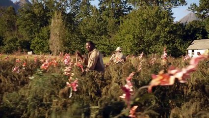 The Book Of Negroes Trailer DF