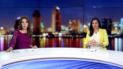 Arrestan a sospechoso de atropellar mortalmente a padre hispano en South Bay