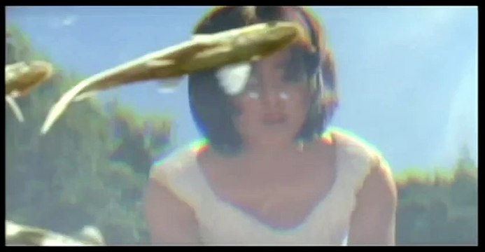 Frühling, Sommer, Herbst, Winter... und Frühling Trailer DF