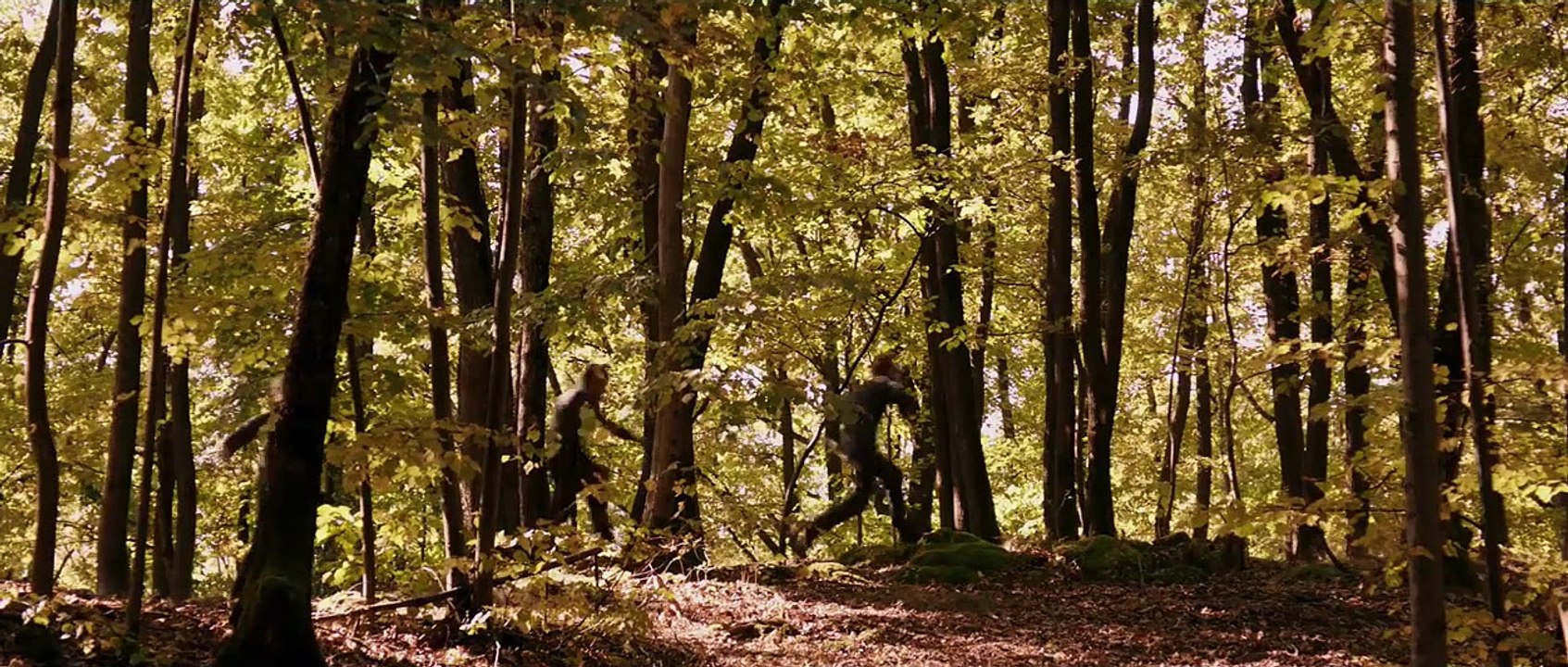 Outside The Box Trailer DF