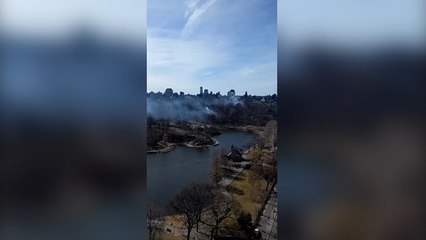 Central Park New York Kebakaran