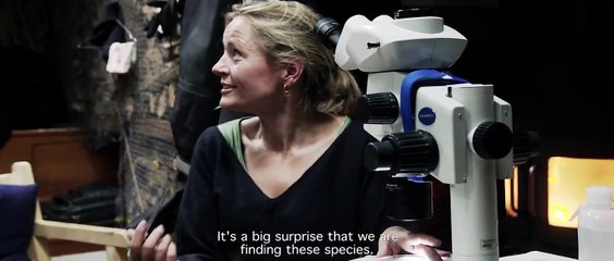 The Expedition To The End Of The World Trailer OV