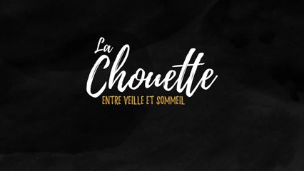 La Chouette entre veille et sommeil - VF