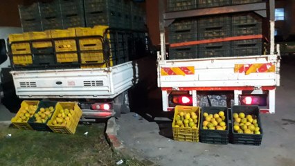 Çaldıkları 4 ton portakalı 11 bin liraya satmışlar