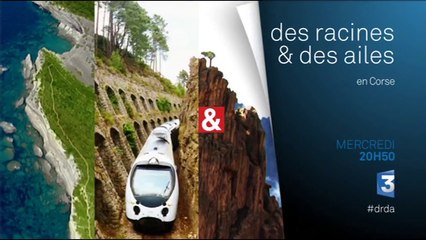 des racines et des ailes - corse - 4/11