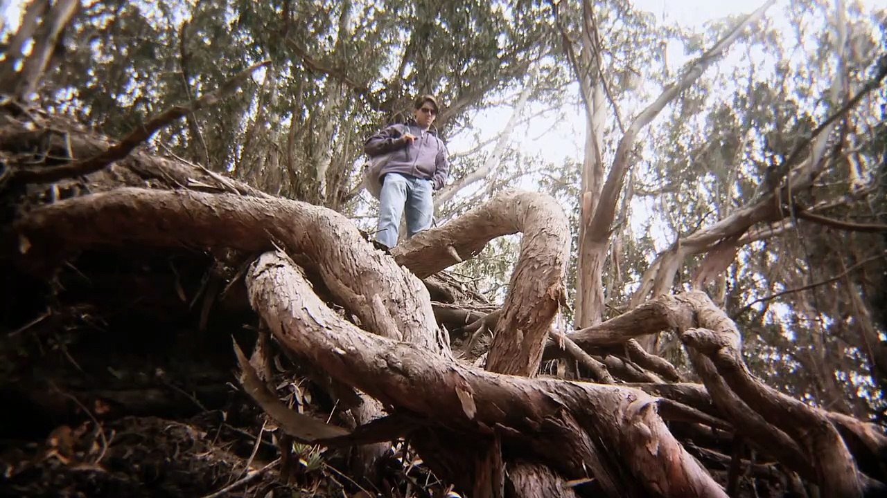 Primitive - Beware the Evil Within Trailer DF