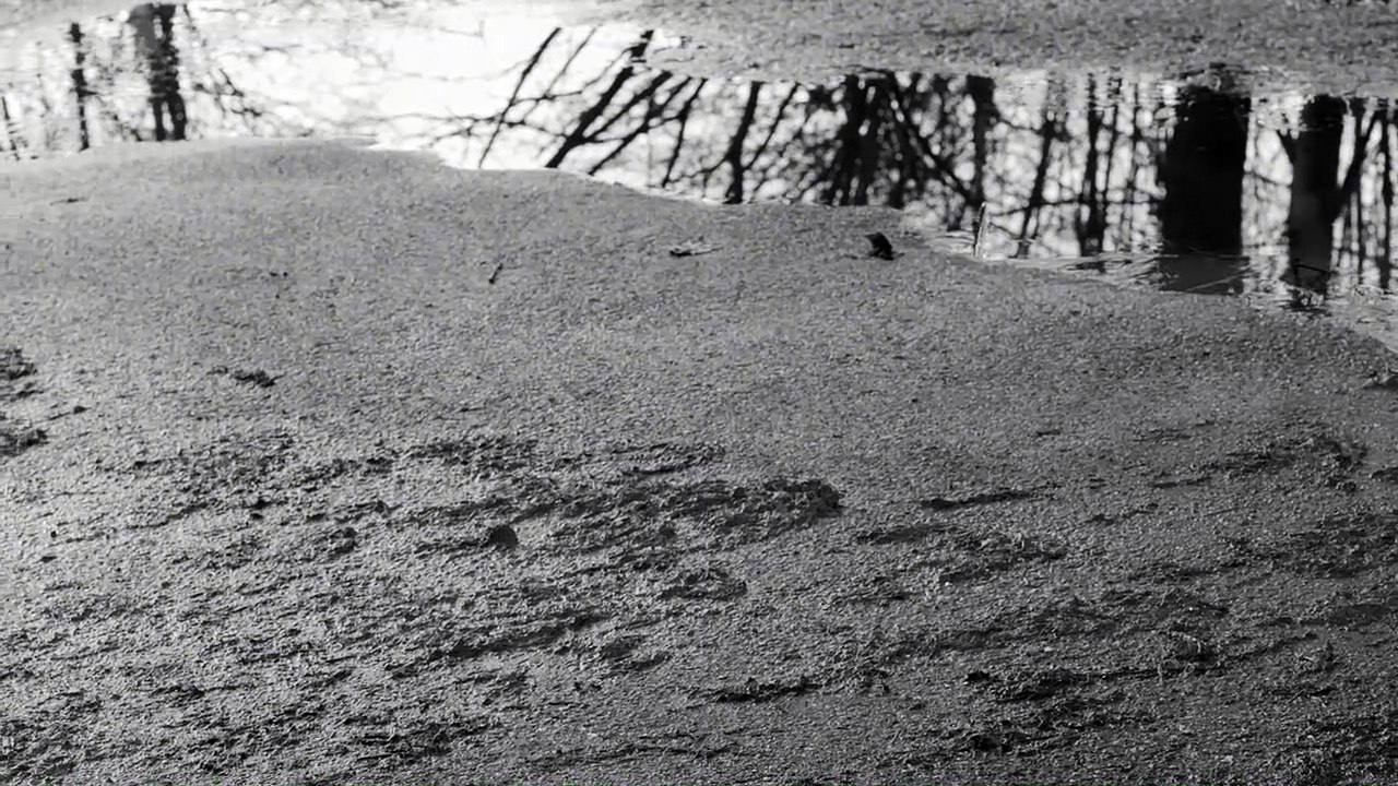 6 Jahre, 7 Monate und 16 Tage - Die Morde des NSU Trailer DF