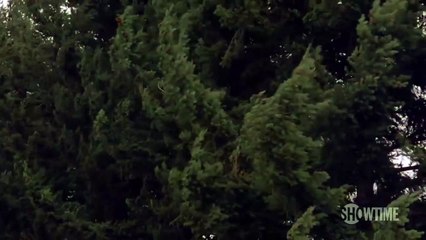 Twin Peaks - staffel 3 Teaser (6) OV