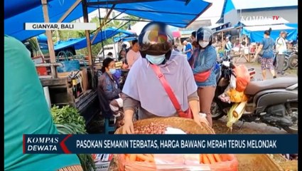 Harga Bawang Merah Melonjak