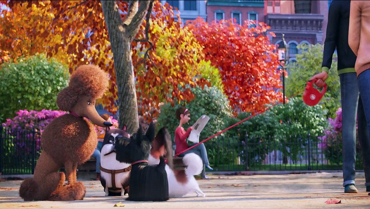 Pets Trailer (4) OV