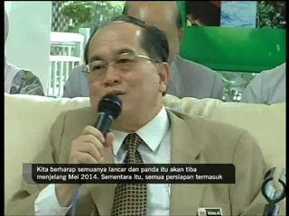 Panda China di Zoo Negara