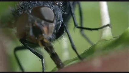 Unser Leben Videoauszug DF