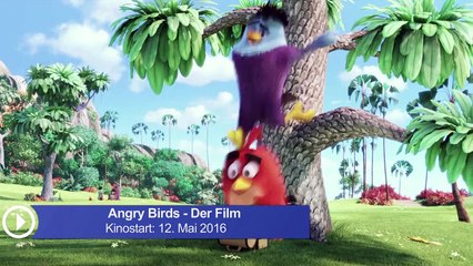 FILMSTARTS-Interview zu "Angry Birds - Der Film" mit Produzent John Cohen (FS-Video)