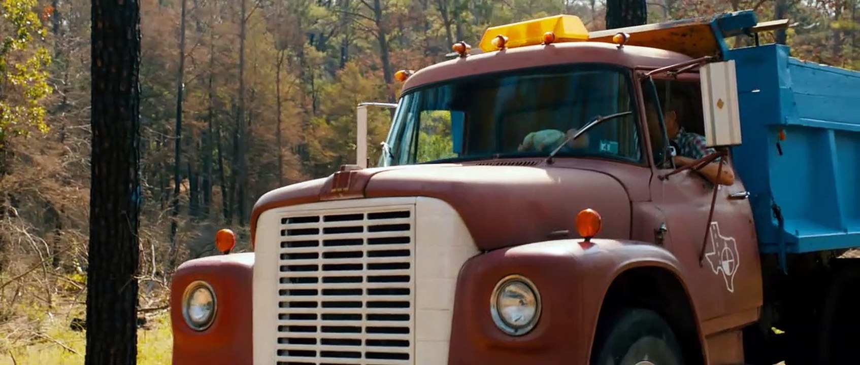 Prince Avalanche Trailer DF