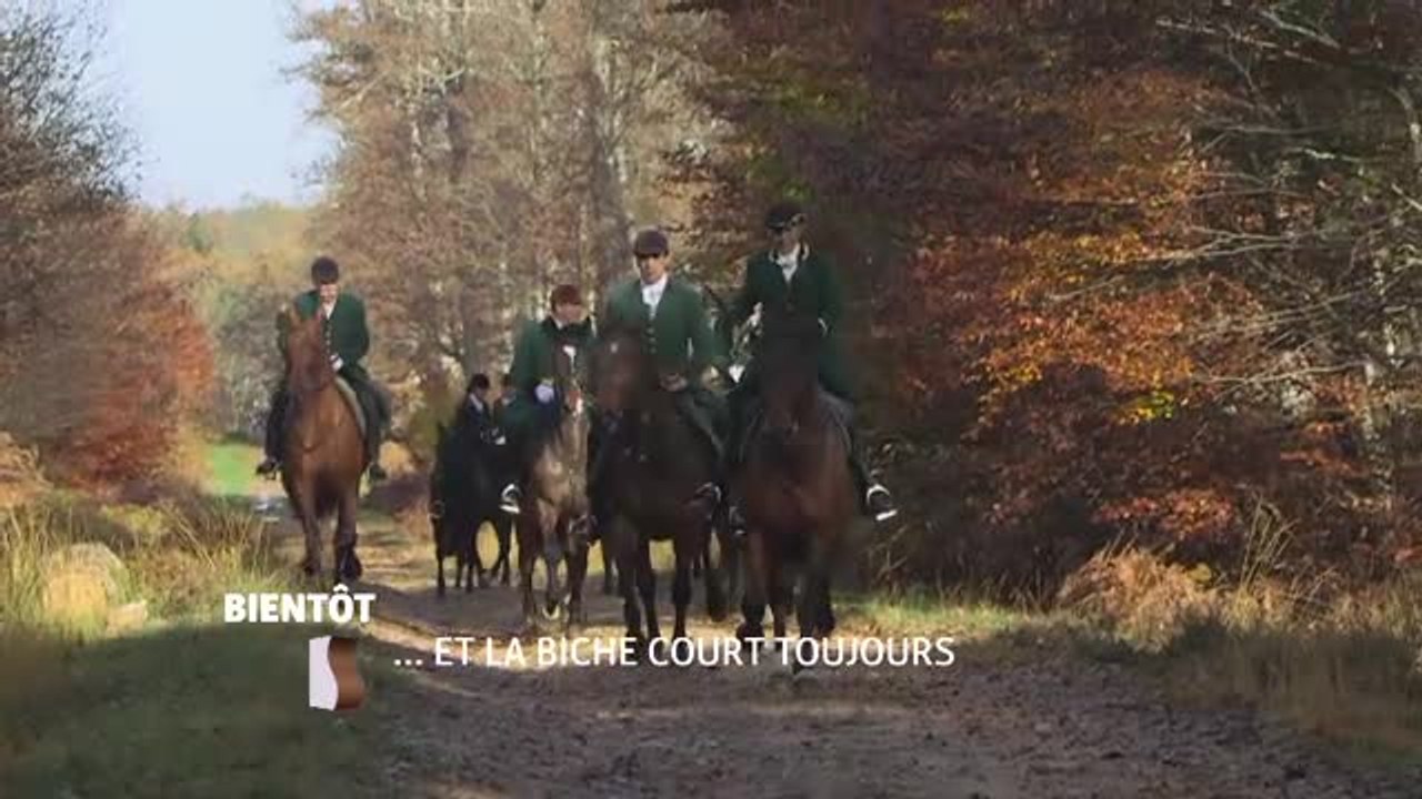 et la biche court toujours - 16/12/16