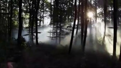 Grimm&#039;s Snow White Trailer OV