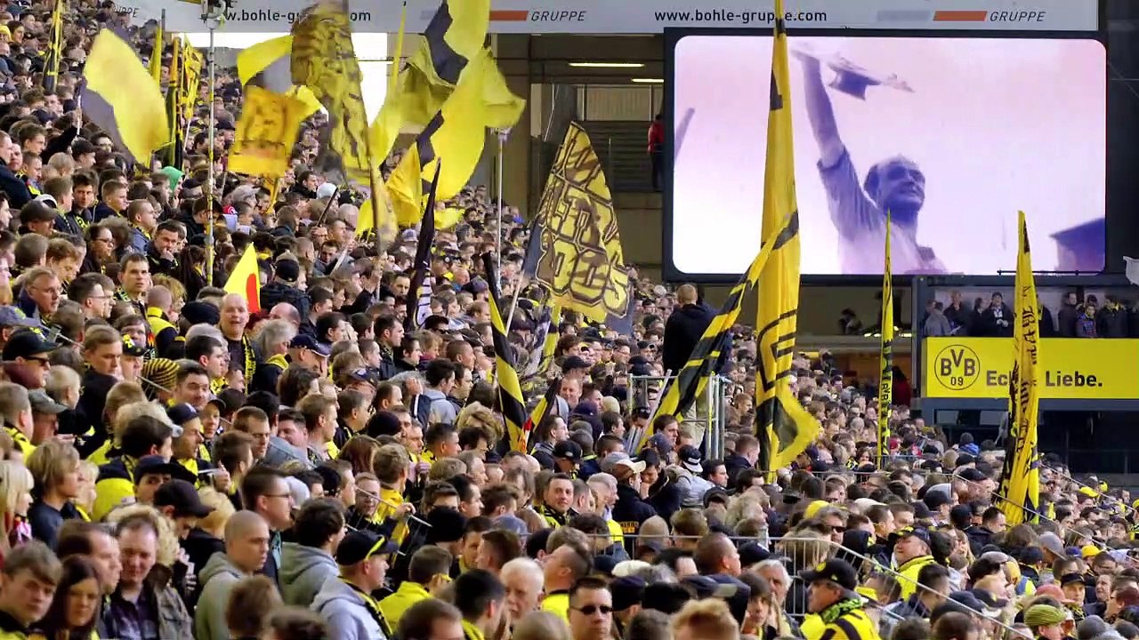 Wir die Wand Trailer DF