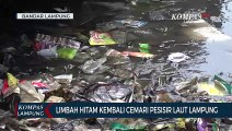 Limbah Hitam Kembali Cemari Pesisir Laut Lampung