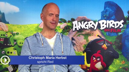 Das FILMSTARTS-Quiz zu "Angry Birds" (FS-Video)