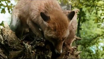 Una amistad inolvidable Clip (3)