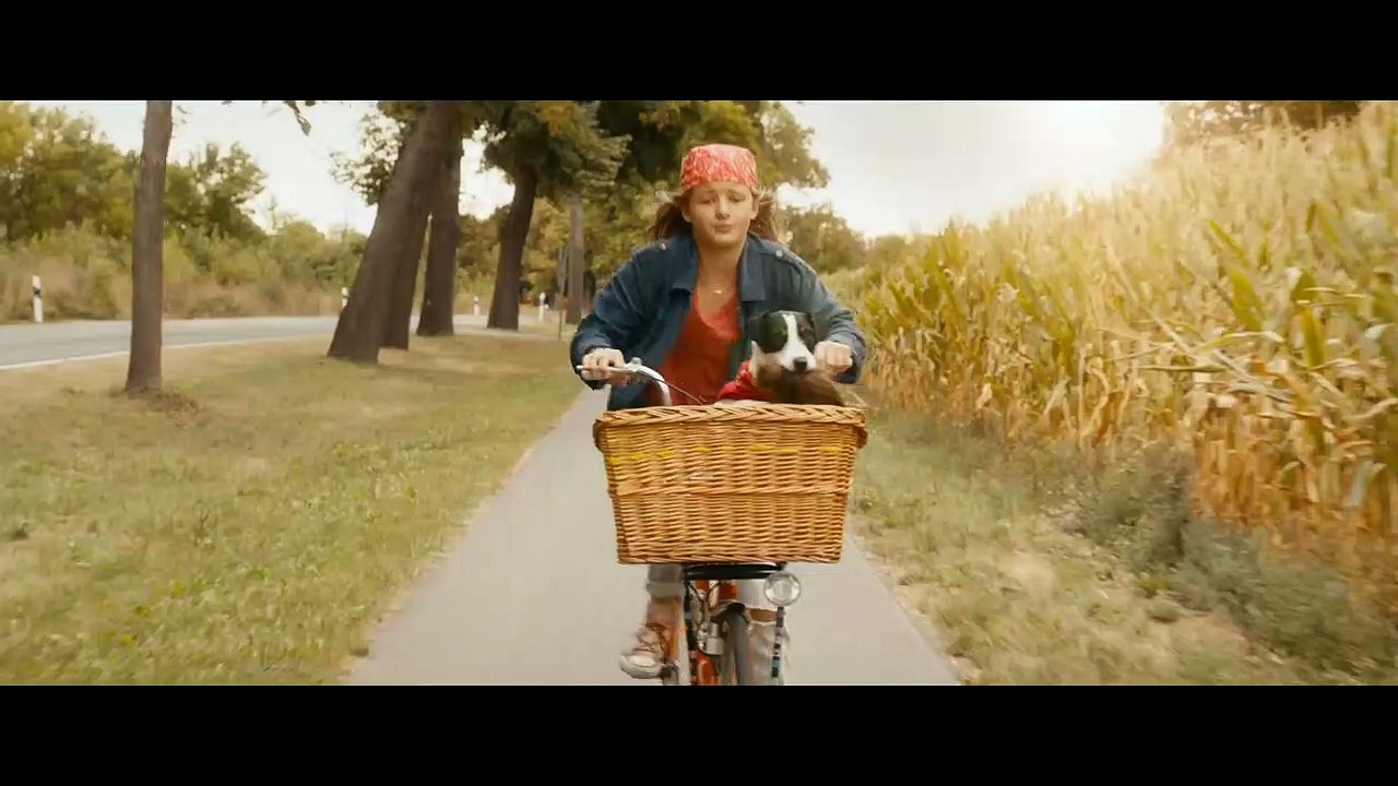 Conni & Co Trailer DF