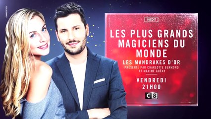 Les plus grands magiciens du monde (C8) : Les Mandrakes d'or 2018