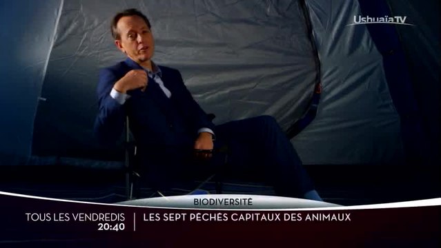 Les Sept péchés capitaux des animaux - Ushuaia TV
