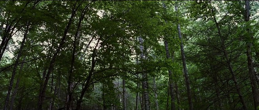 Die Tribute von Panem - Tödliche Spiele Teaser OV