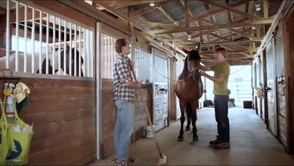 Mein treues Pferd "Bär" Trailer DF