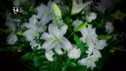 Anger Management - staffel 1 Teaser OV