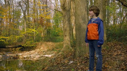 Lost Creek Trailer OV