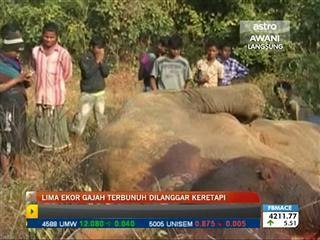 Lima ekor gajah mati dilanggar keretapi