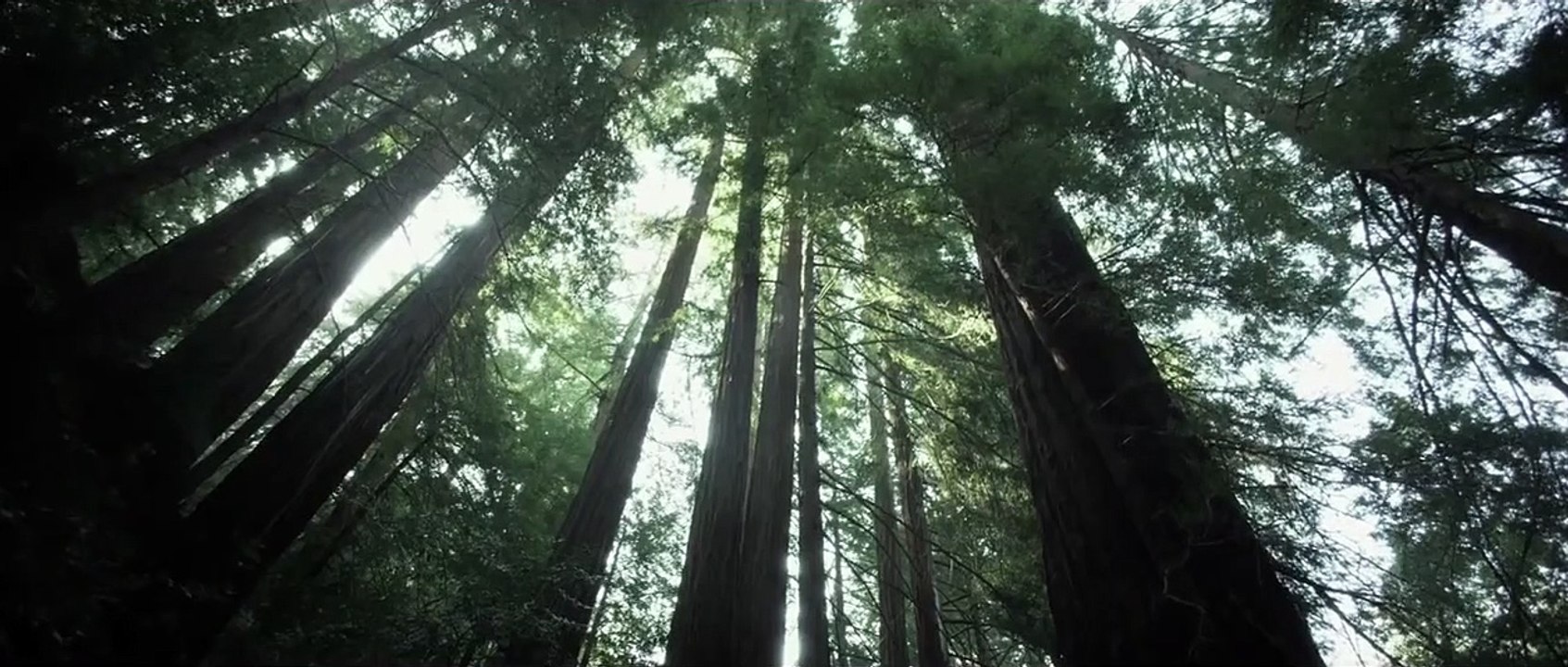 Big Sur Trailer (3) OV