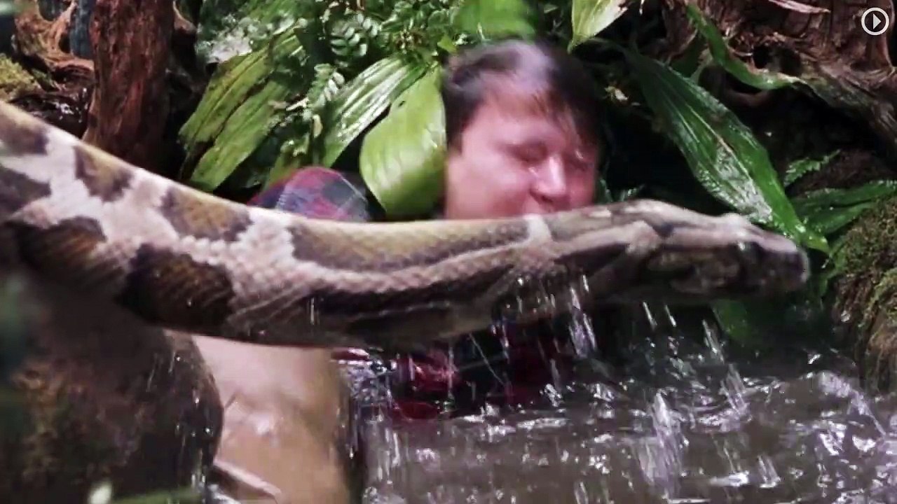 Verrückter Harry Potter: Die FILMSTARTS Fan-Theorie zu 'Harry Potter'