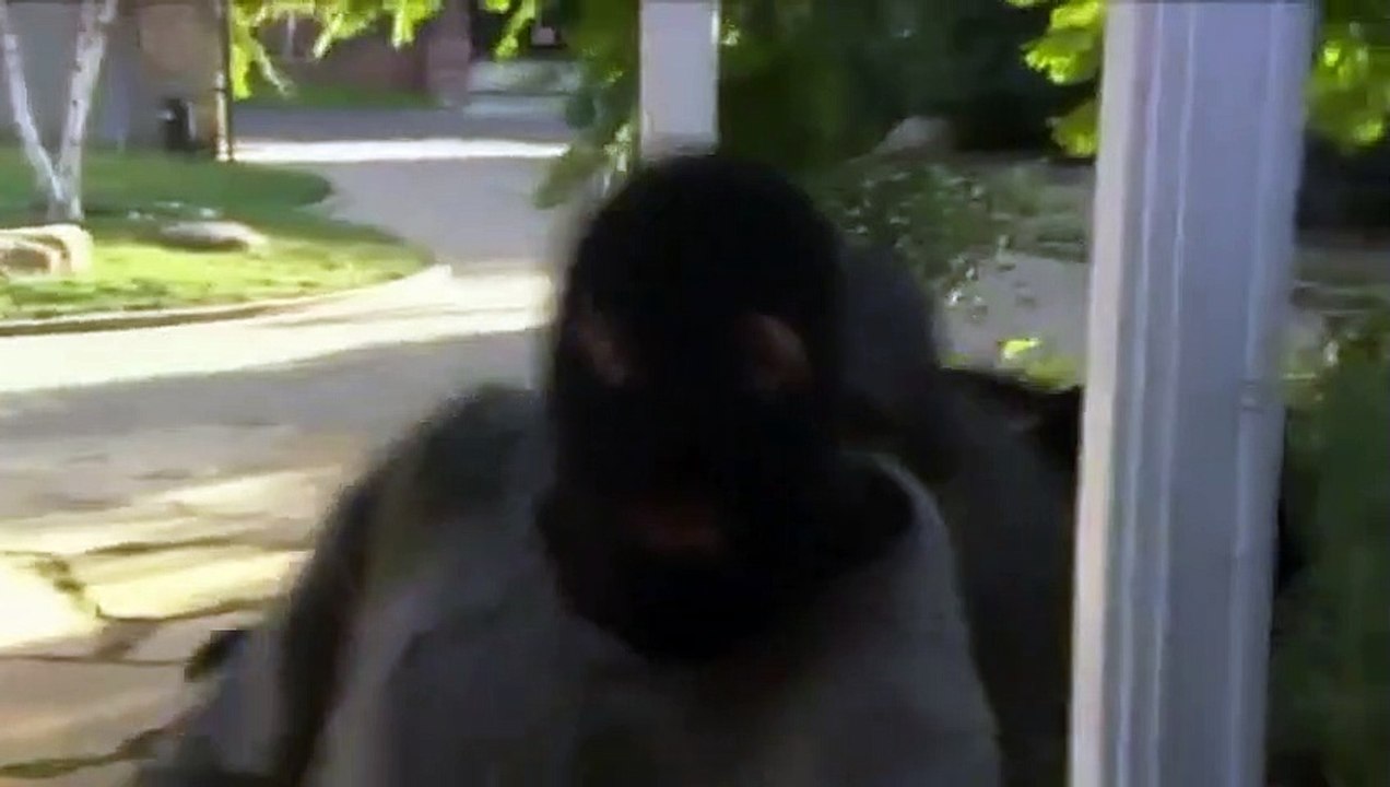 Home Invasion Trailer OV