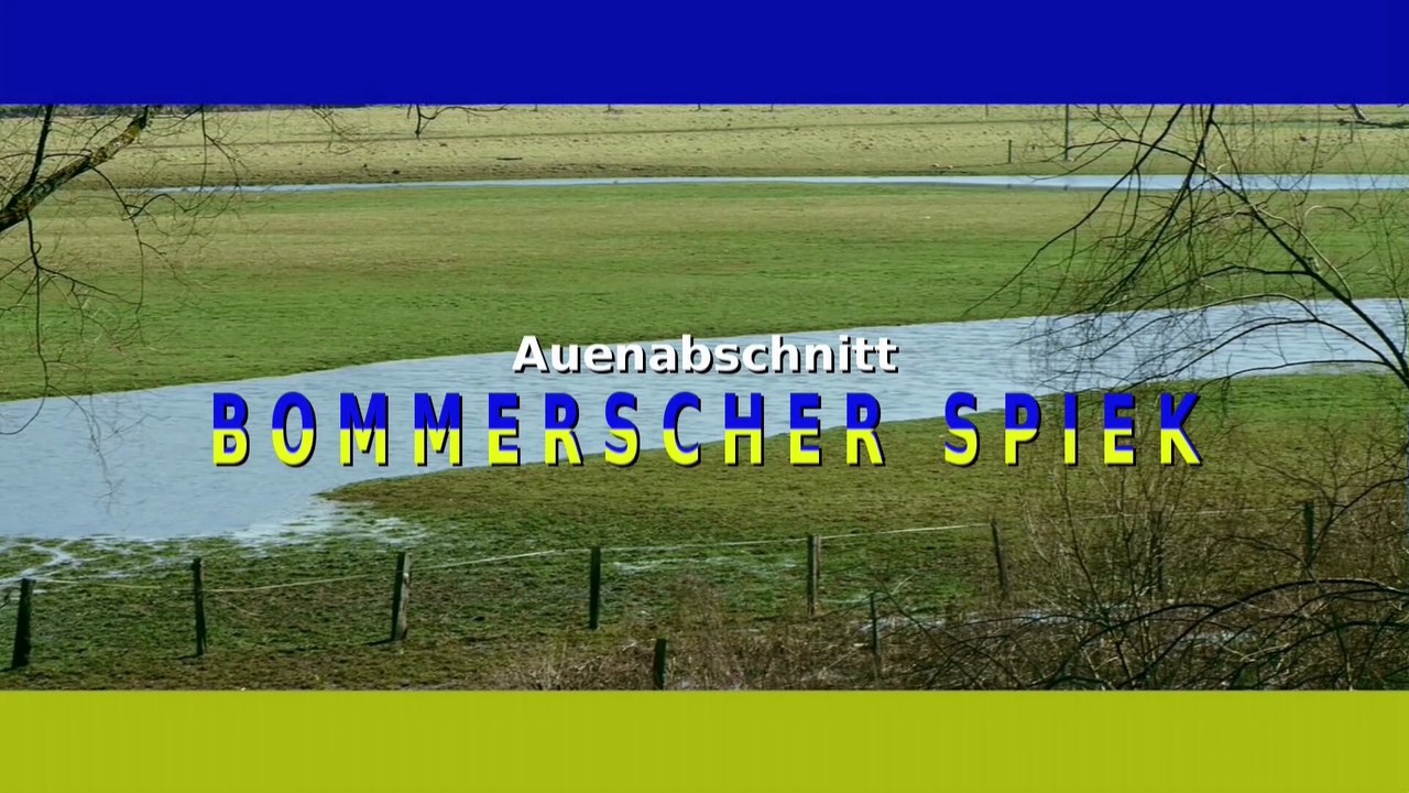 Auenlandschaft bommerscher spiek
