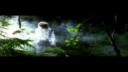 Dark World - Das Tal der Hexenkönigin Trailer DF