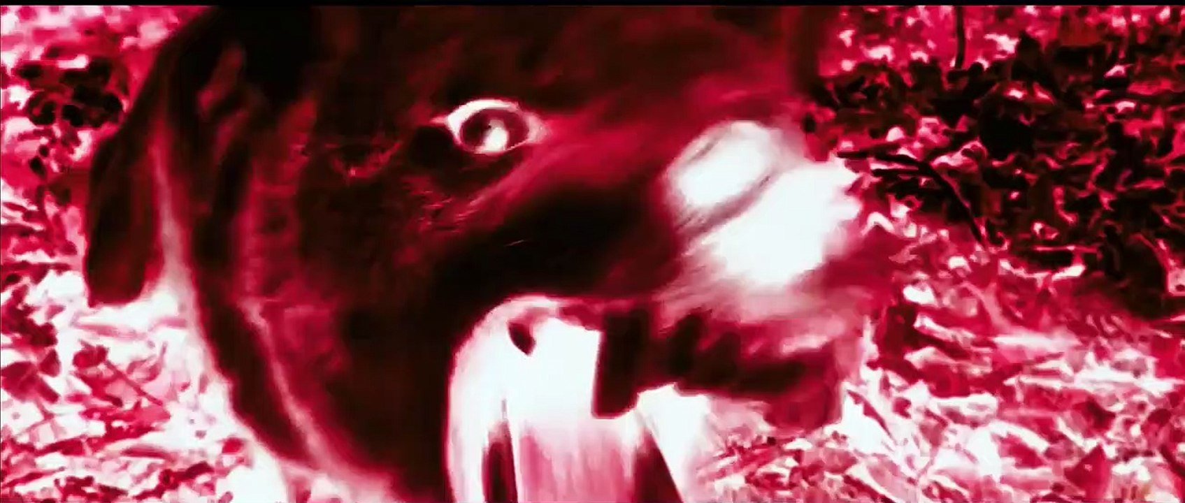 Die dunkle Gräfin Trailer DF