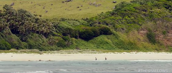 The Shallows - Gefahr aus der Tiefe Videoclip (3) OV