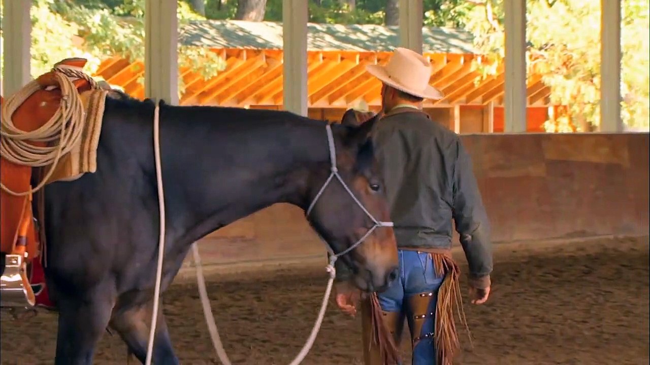 Buck - Der wahre Pferdeflüsterer Trailer DF