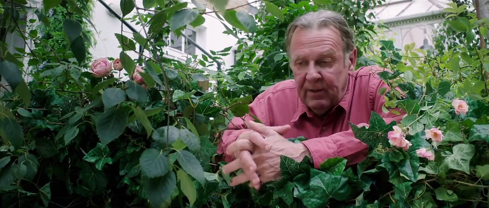 Der wunderbare Garten der Bella Brown Trailer DF video Dailymotion