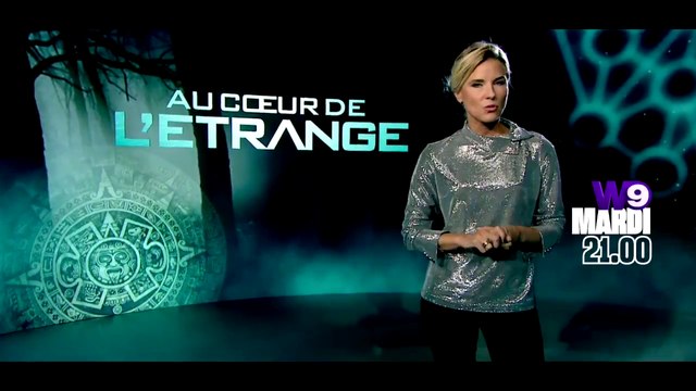 Au Coeur De L'Etrange (W9) : OVNI sont-ils vraiment parmi nous